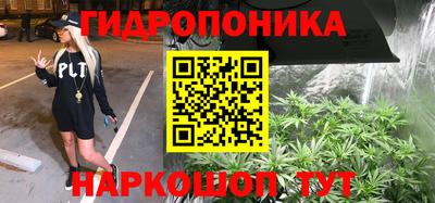 сатива Кунгур