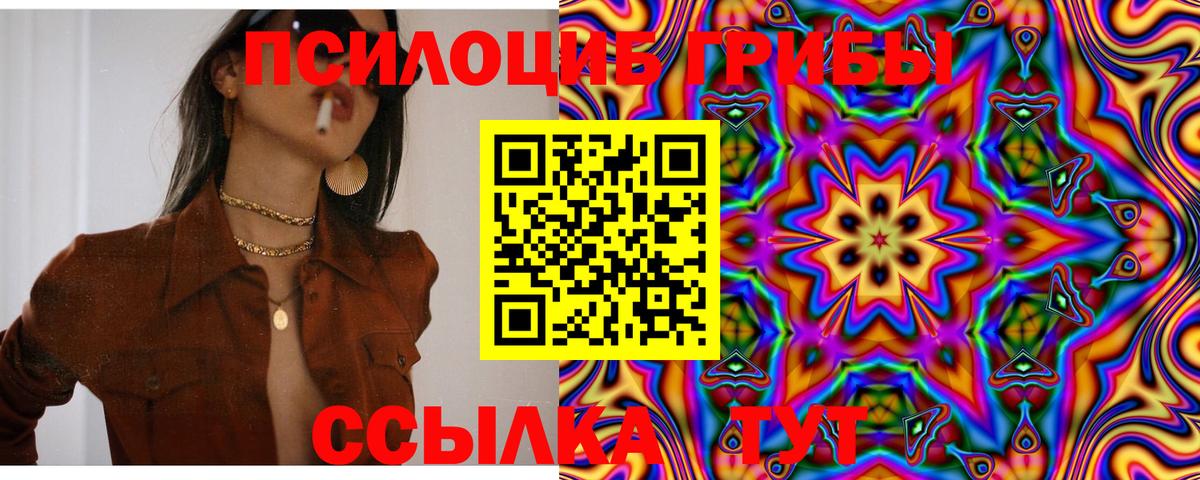 Псилоцибиновые грибы MAGIC MUSHROOMS  Галлюциногенные грибы прущие грибы  Вход с VPN  цена   Дедовск 